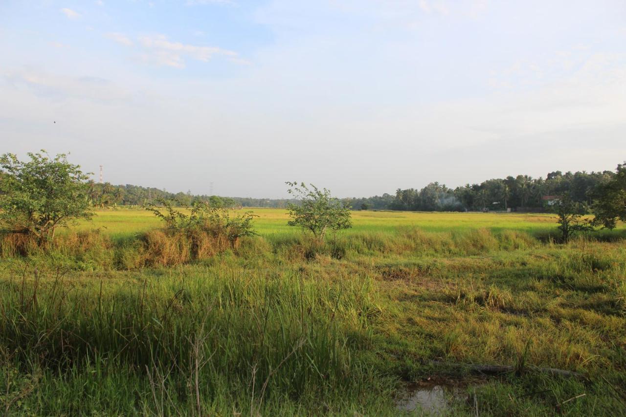 Tranquility By Natures Bliss Ja-Ela Luaran gambar