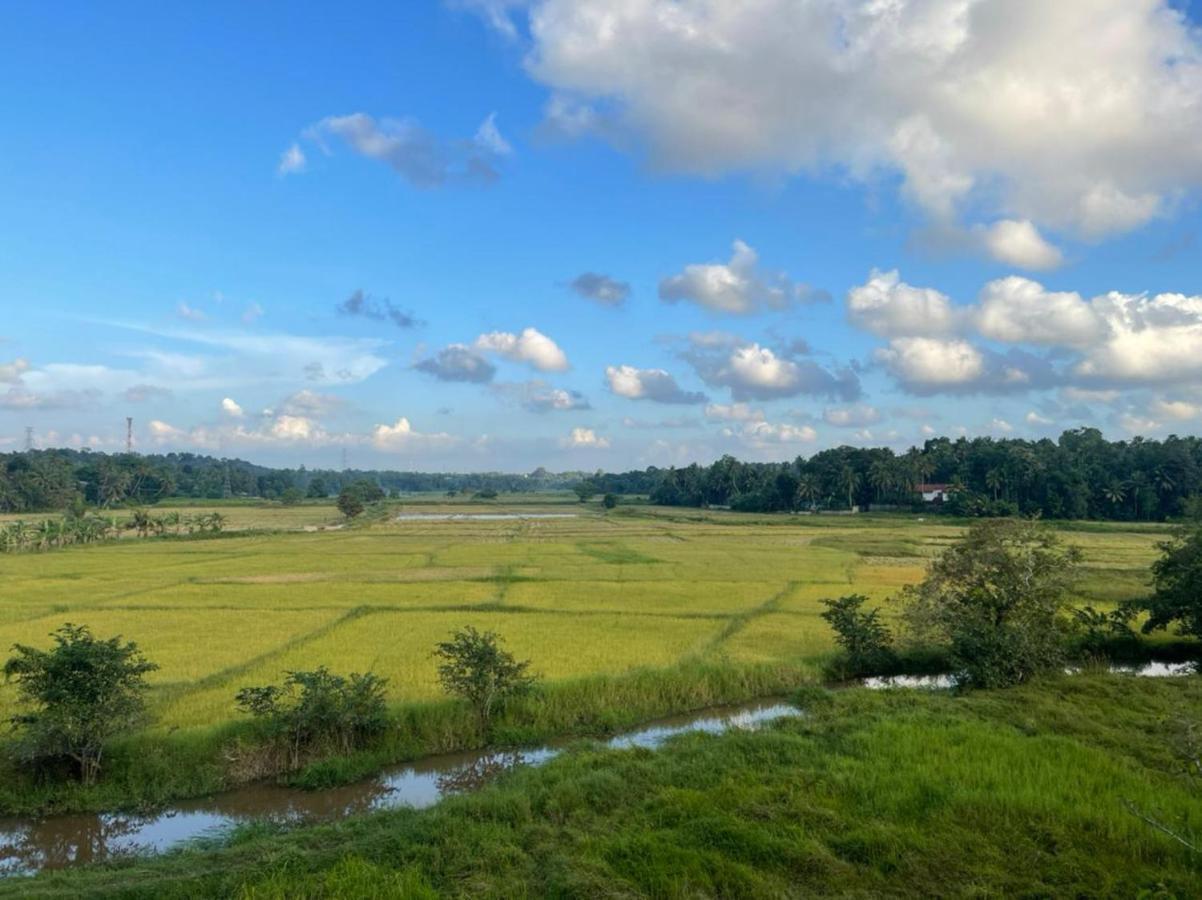 Tranquility By Natures Bliss Ja-Ela Luaran gambar